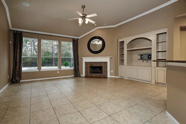 14 Mercutio Court, The Woodlands, TX 77382