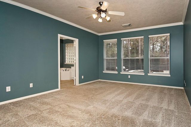 14 Mercutio Court, The Woodlands, TX 77382