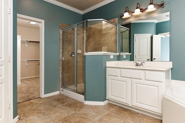 14 Mercutio Court, The Woodlands, TX 77382