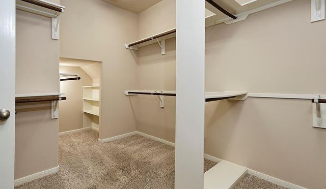 14 Mercutio Court, The Woodlands, TX 77382