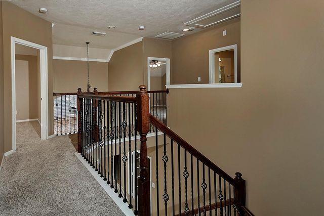 14 Mercutio Court, The Woodlands, TX 77382