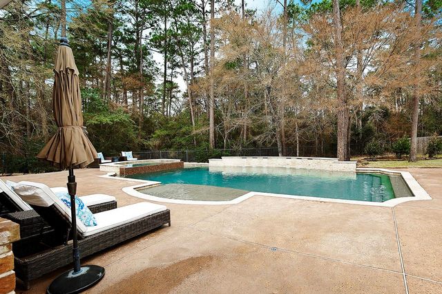 14 Mercutio Court, The Woodlands, TX 77382