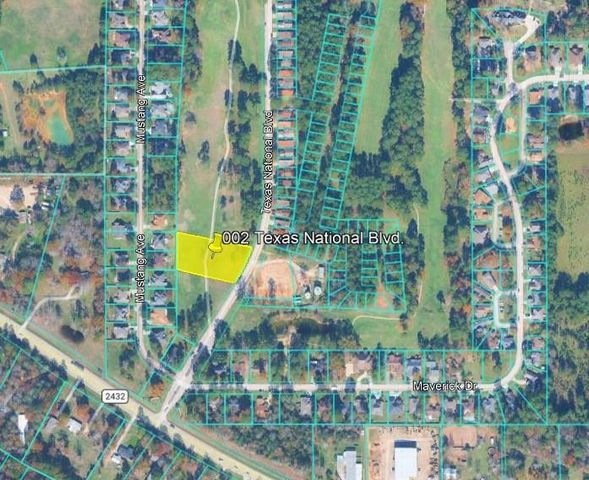 002 Texas National Blvd, Willis, TX 77303