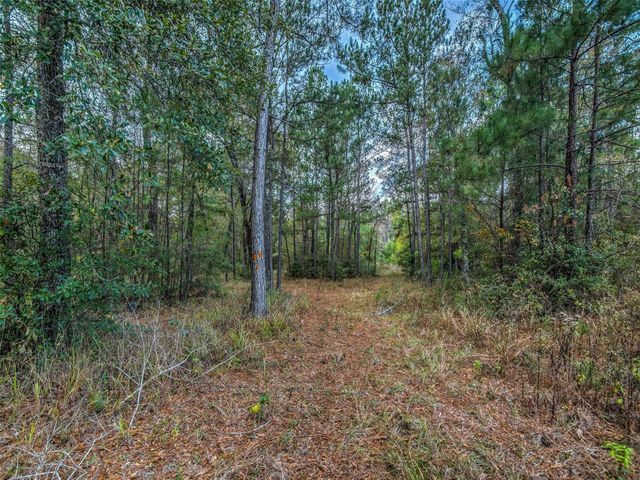16867 Tierra Buena Drive, Plantersville, TX 77363
