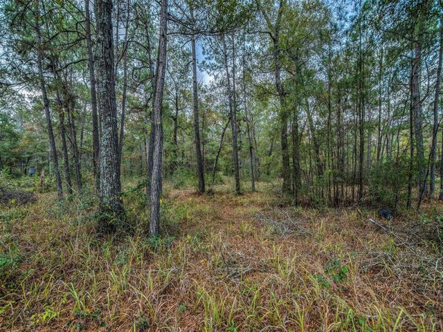 16867 Tierra Buena Drive, Plantersville, TX 77363