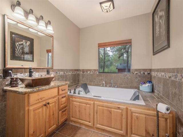 16867 Tierra Buena Drive, Plantersville, TX 77363
