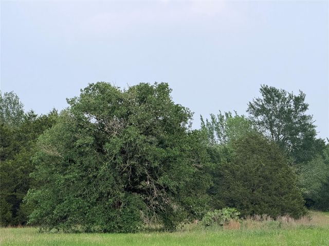 1766 Fm 2104, Paige, TX 78659