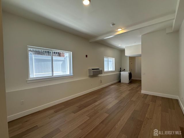 213 French Street 1, New Brunswick, NJ 08901