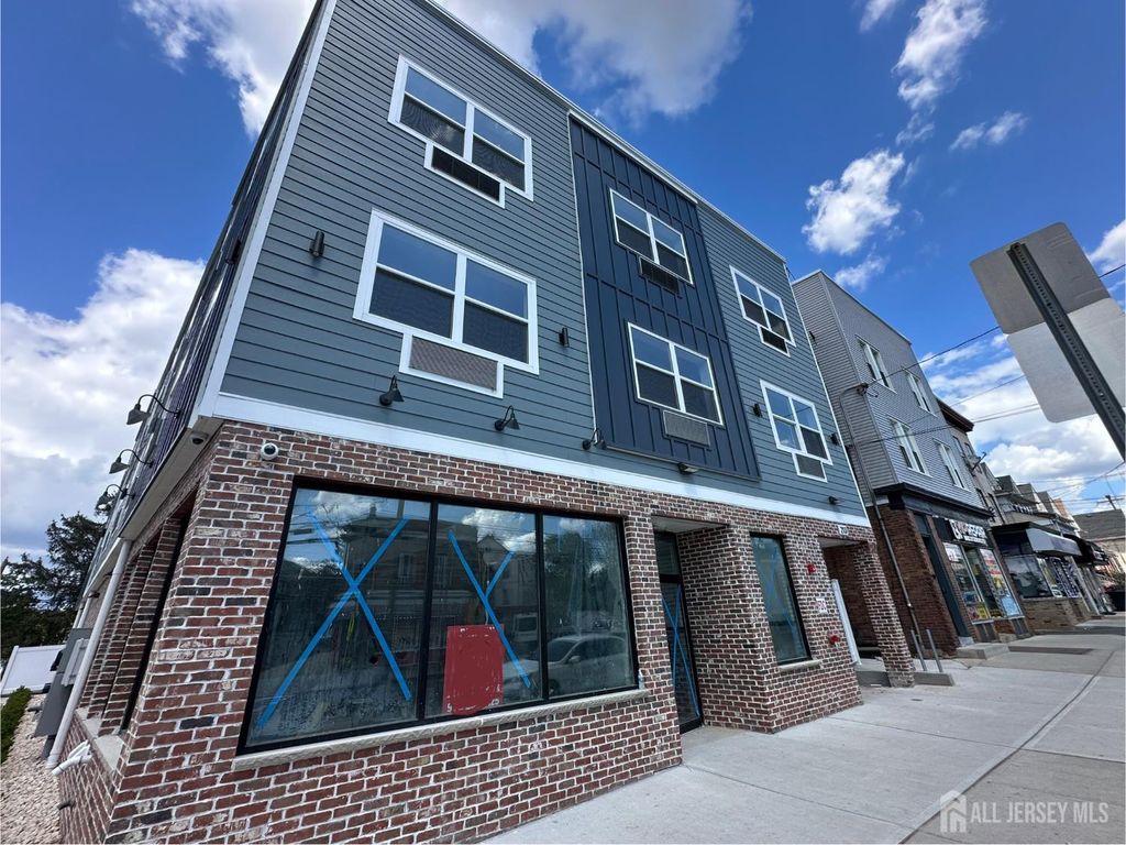 213 French Street 1, New Brunswick, NJ 08901