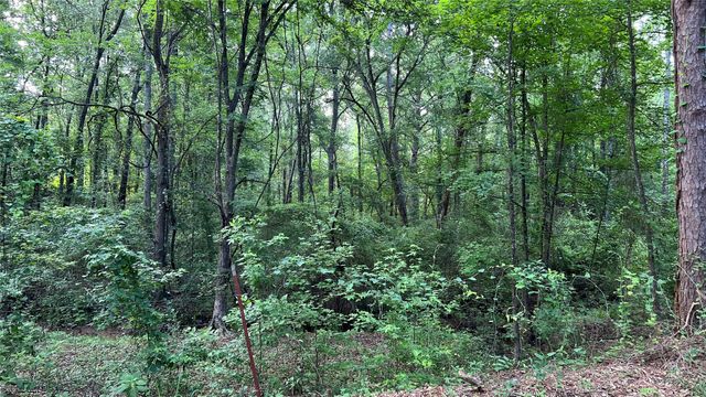 401 County Road 2920, Golden, TX 75444