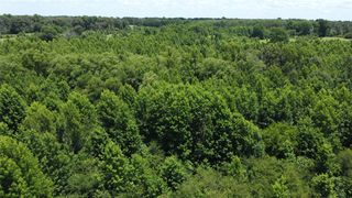 401 County Road 2920, Golden, TX 75444