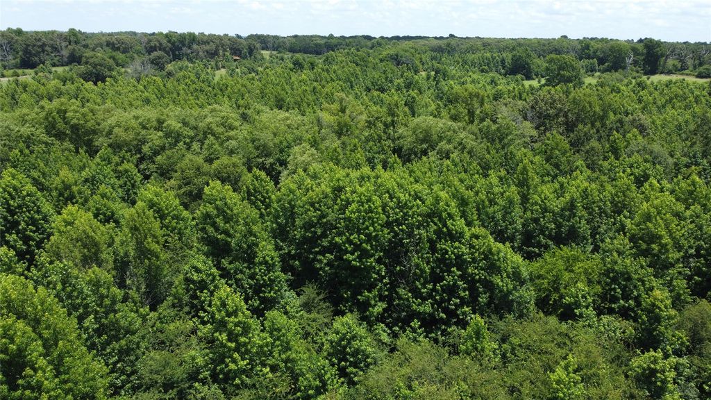401 County Road 2920, Golden, TX 75444