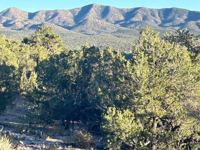 5 Broken Arrow Place, Sandia Park, NM 87047