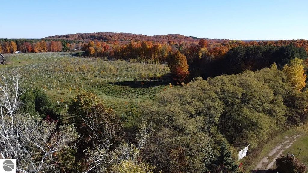 Aerial view of vibrant fall foliage surrounding a spacious property with rows of trees, showcasing the 4.68-acre lot near 8721 Glover Lake Road, Bear Lake, MI, ideal for outdoor activities and serene living.
