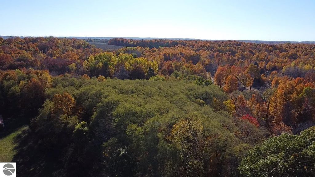 Aerial view of colorful autumn foliage surrounding the property at 8721 Glover Lake Road, Bear Lake, MI, highlighting the 4.68 acres of land available for sale.