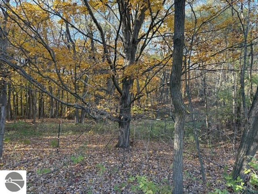 Autumn landscape featuring trees with yellow leaves and a wooded area, highlighting the natural surroundings of the property at 8721 Glover Lake Road, Bear Lake, MI.