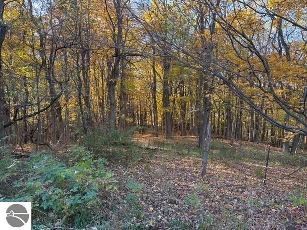 Wooded landscape with autumn foliage, showcasing trees and underbrush, near 8721 Glover Lake Road, Bear Lake, MI, highlighting the 4.68 acres of property.