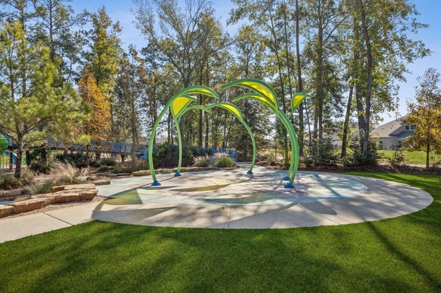 15611 Red Panda Road, Conroe, TX 77302