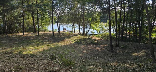 142 Idylwood Drive, Goodrich, TX 77335