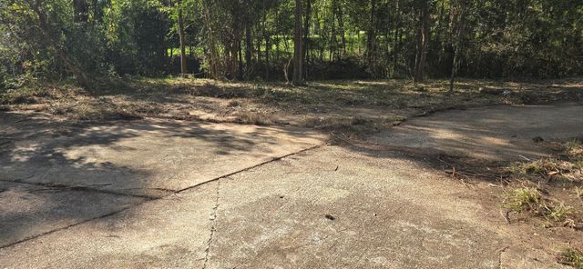 142 Idylwood Drive, Goodrich, TX 77335