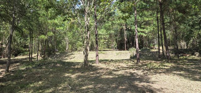 142 Idylwood Drive, Goodrich, TX 77335