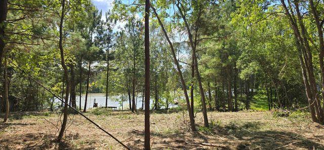 142 Idylwood Drive, Goodrich, TX 77335