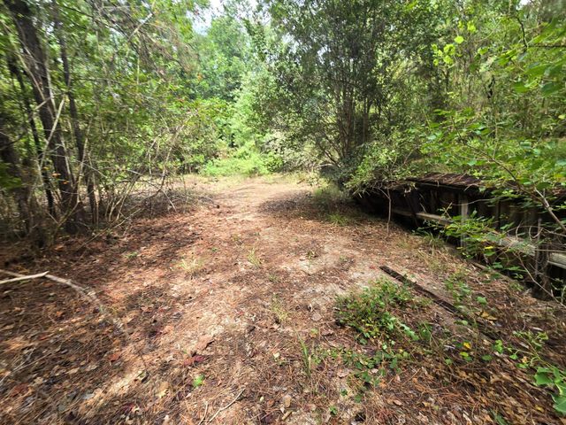 142 Idylwood Drive, Goodrich, TX 77335