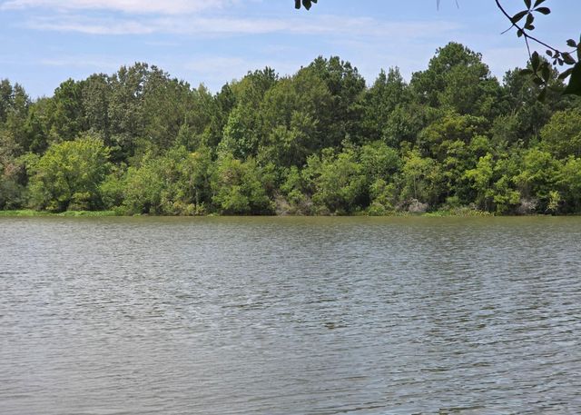 142 Idylwood Drive, Goodrich, TX 77335