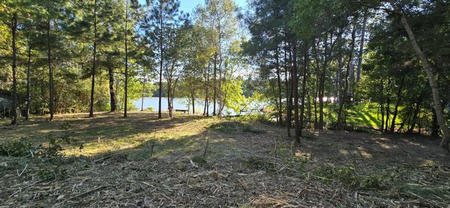142 Idylwood Drive, Goodrich, TX 77335