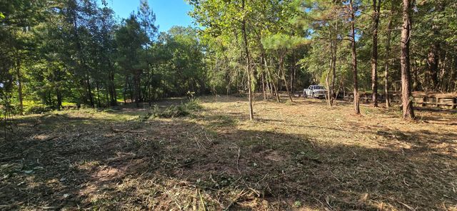 142 Idylwood Drive, Goodrich, TX 77335