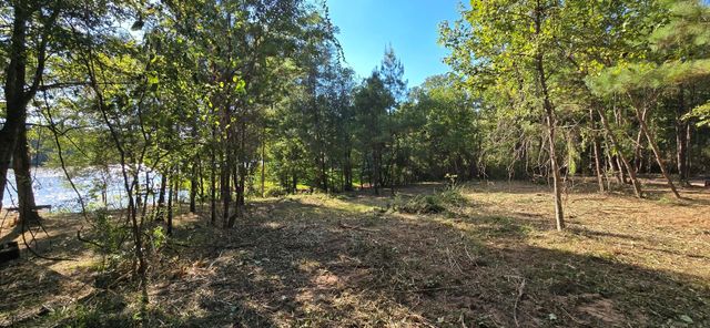 142 Idylwood Drive, Goodrich, TX 77335