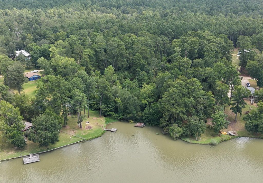 142 Idylwood Drive, Goodrich, TX 77335