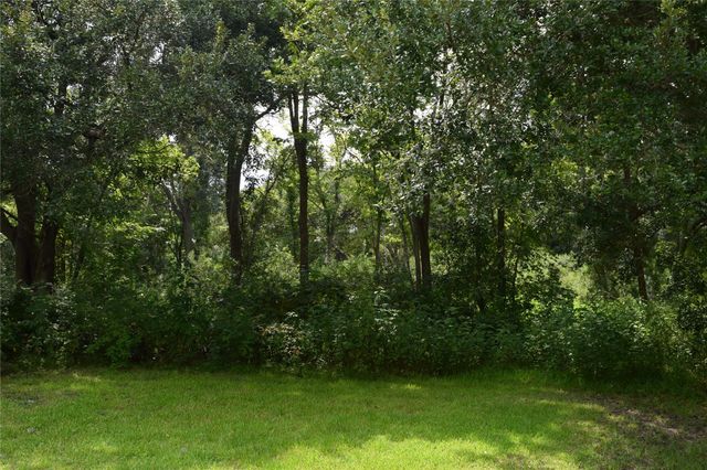 00 Belcher Road - Cr 397 Road, Manvel, TX 77578