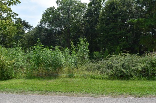 00 Belcher Road - Cr 397 Road, Manvel, TX 77578