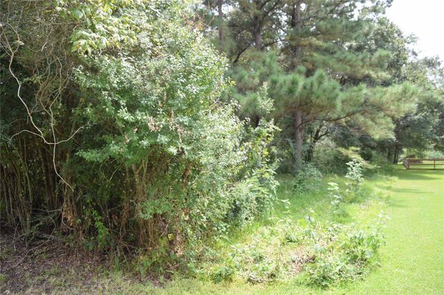 00 Belcher Road - Cr 397 Road, Manvel, TX 77578