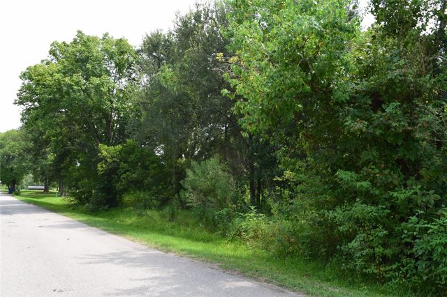 00 Belcher Road - Cr 397 Road, Manvel, TX 77578