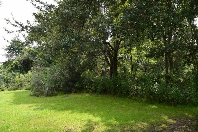 00 Belcher Road - Cr 397 Road, Manvel, TX 77578