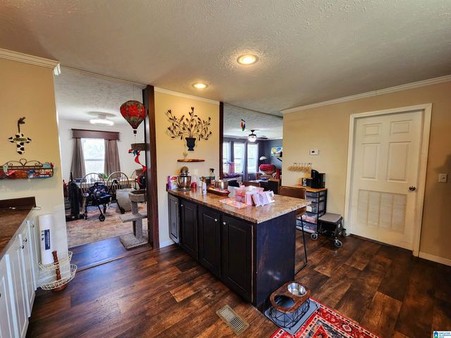 10785 MACKS ROAD, Coaling, AL 35453