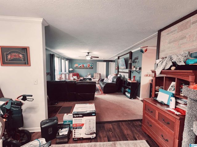 10785 MACKS ROAD, Coaling, AL 35453