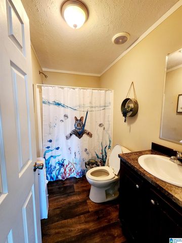 10785 MACKS ROAD, Coaling, AL 35453