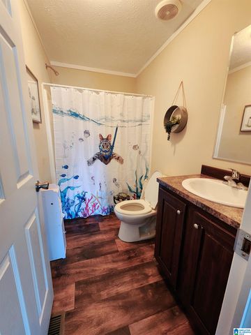 10785 MACKS ROAD, Coaling, AL 35453