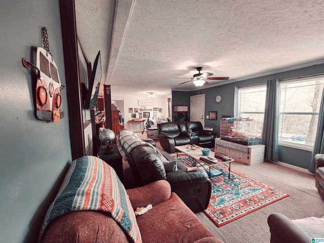 10785 MACKS ROAD, Coaling, AL 35453