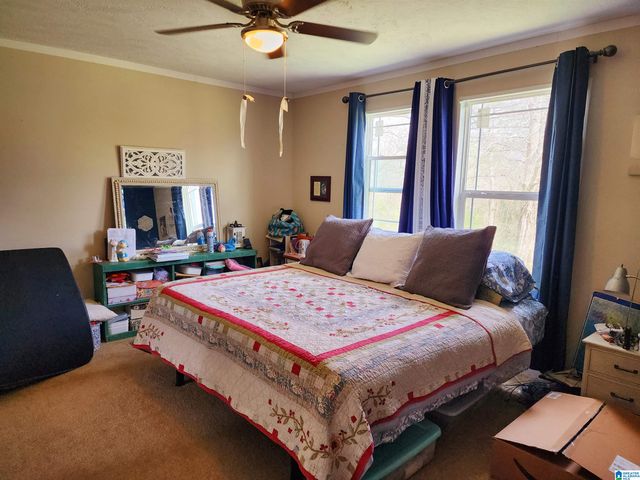 10785 MACKS ROAD, Coaling, AL 35453