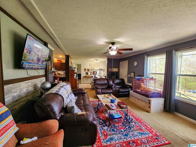 10785 MACKS ROAD, Coaling, AL 35453