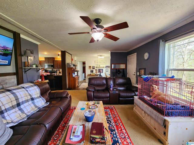 10785 MACKS ROAD, Coaling, AL 35453