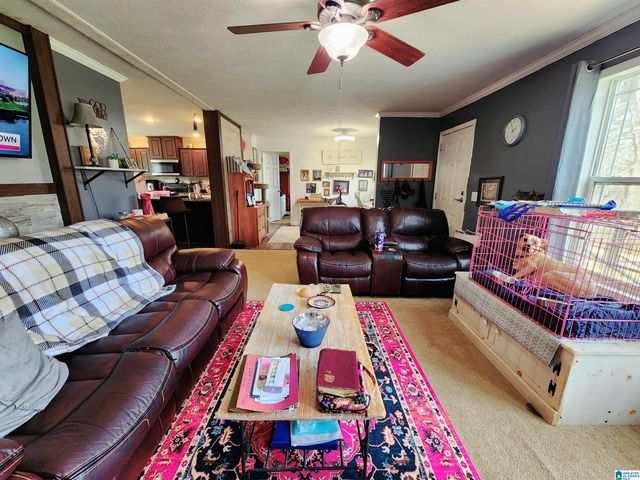 10785 MACKS ROAD, Coaling, AL 35453