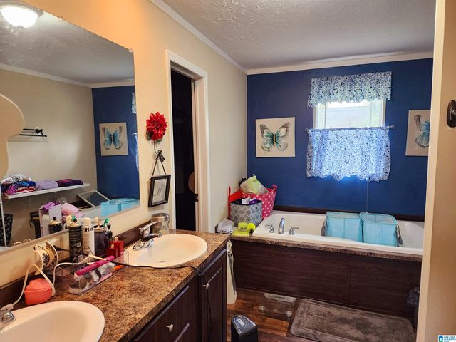 10785 MACKS ROAD, Coaling, AL 35453