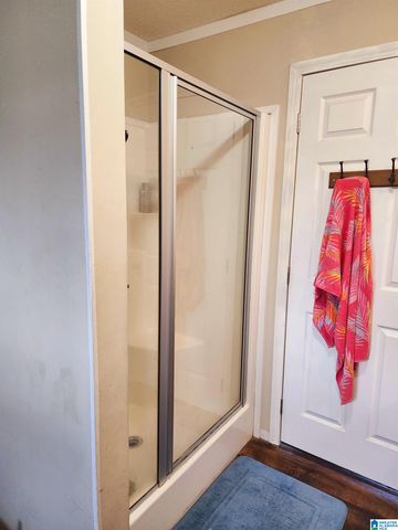 10785 MACKS ROAD, Coaling, AL 35453