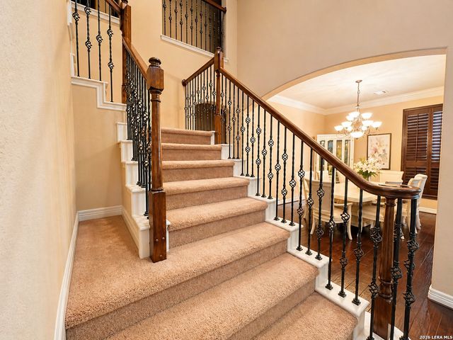 7739 Winecup HL, San Antonio, TX 78256