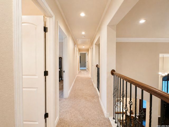 7739 Winecup HL, San Antonio, TX 78256